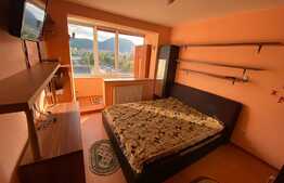 Apartament 2 camere, 46 mp, zona Astra