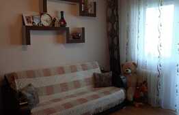 Apartament de 3 camere, 46 mp, etaj intermediar, zona Parang 