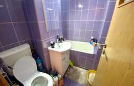 Apartament de 3 camere, 46 mp, etaj intermediar, zona Parang 