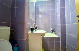 Apartament de 3 camere, 46 mp, etaj intermediar, zona Parang 