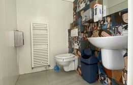 Spatiu de Birouri, Suprafete intre 45-220 mp, zona Republicii, ideala pentru birouri/ medical