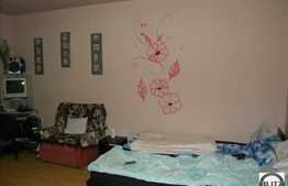 1 cam, 39 mp in locatie linistita din zona Calea Turzii!