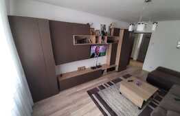 3 camere, 66 mp, complet mobilat si utilat, zona Calea Bucuresti