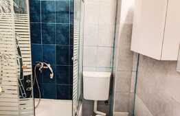 Apartament 1 camera, cochet mobilat utilat, 23 mp, zona Dorobantilor