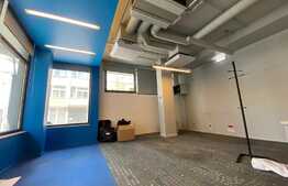 Imobil cladire individuala, 856 mp, Ultracentral, mentenanta inclusa in pret!