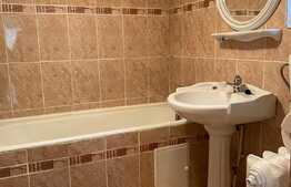 1 cameră, decomandat, 30 mp, pet friendly, zona străzii Jiului 