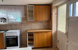 1 cameră, decomandat, 30 mp, pet friendly, zona străzii Jiului 