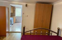 1 cameră, decomandat, 30 mp, pet friendly, zona străzii Jiului 