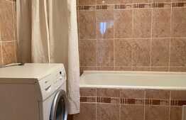 1 cameră, decomandat, 30 mp, pet friendly, zona străzii Jiului 