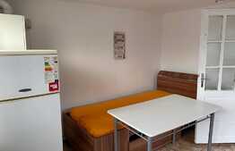 1 cameră, decomandat, 30 mp, pet friendly, zona străzii Jiului 