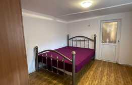 1 cameră, decomandat, 30 mp, pet friendly, zona străzii Jiului 