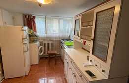 Apartament 1 cameră, decomandat, pet friendly, zona străzii Jiului 
