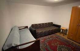 Apartament 1 cameră, decomandat, pet friendly, zona străzii Jiului 