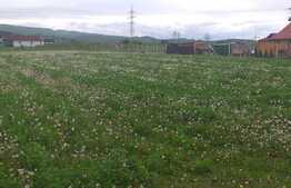 Vand teren intravilan Savadisla, 1200 mp, front 22 ml