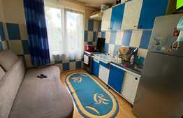 Garsoniera, 33 mp, Uzina 2 