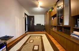 Garsoniera, 33 mp, Uzina 2 