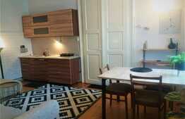 Apartament 1 camera, 45 mp, zona Centrala 