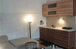 Apartament 1 camera, 45 mp, zona Centrala 