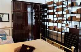 Apartament 1 camera, 45 mp, zona Centrala 