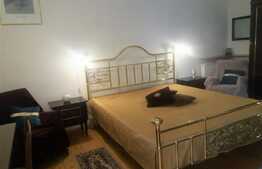 Apartament 1 camera, 45 mp, zona Centrala 