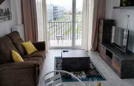 Studio Avangarden Coresi, la prima inchiriere !