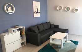 2 camere, 50 mp, parcare, A.C, pet friendly, zona OMW Calea Turzii