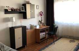 2 camere decomandate, 54 mp, zona strazii Tulcea, Intre lacuri