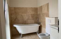 Duplex finisat lux, 180 mp utili, 700 mp teren, Buna Ziua