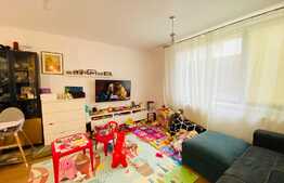 Apartament 2 camere, 55 mp, 120 mp gradina, parcare, zona Piata 14 Iulie