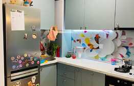 Apartament 2 camere, 55 mp, 120 mp gradina, parcare, zona Piata 14 Iulie