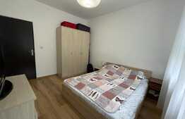 2 camere, 42 mp, Pet Friendly, zona Al. Vaida Voievod