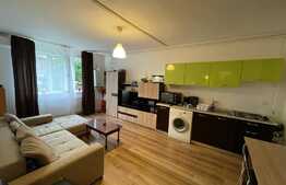 2 camere, 42 mp, Pet Friendly, zona Al. Vaida Voievod