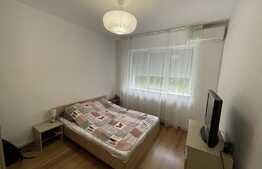 2 camere, 42 mp, Pet Friendly, zona Al. Vaida Voievod