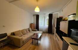 2 camere, 42 mp, Pet Friendly, zona Al. Vaida Voievod