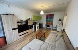 2 camere, 42 mp, Pet Friendly, zona Al. Vaida Voievod