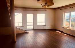 Vila finisata, 300 mp utili, 720 mp teren in Dambul Rotund