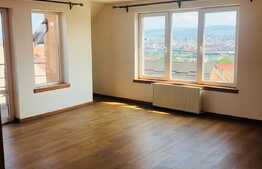 Vila finisata, 300 mp utili, 720 mp teren in Dambul Rotund