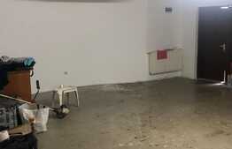 Vila finisata, 300 mp utili, 720 mp teren in Dambul Rotund