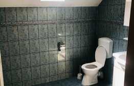 Vila finisata, 300 mp utili, 720 mp teren in Dambul Rotund