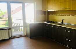 Vila finisata, 300 mp utili, 720 mp teren in Dambul Rotund