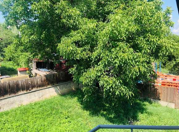 Casa de vânzare 5 camere Dambul Rotund - 64862CV | BLITZ Cluj-Napoca | Poza17