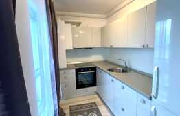 Apartament 2 camere, 50 mp, zona strazii Nicolae Steinhardt 