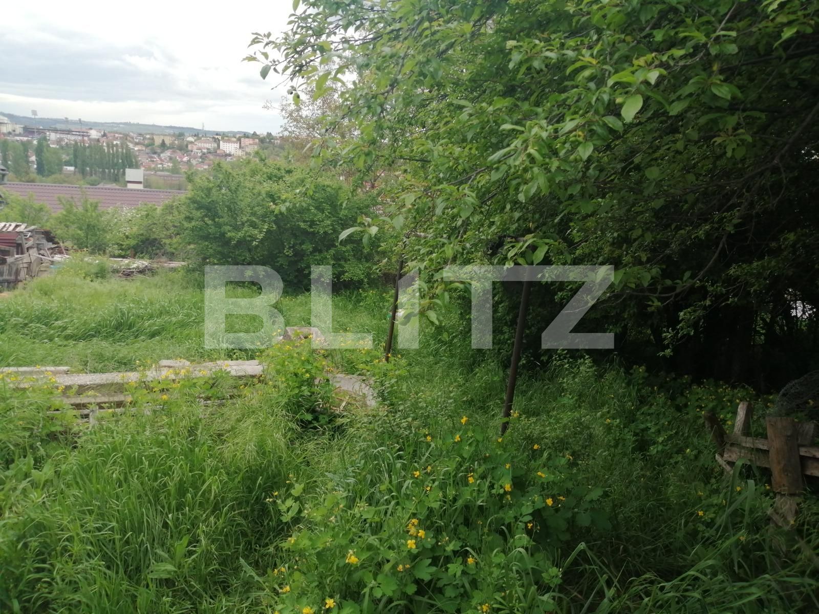 Casa de vânzare 1 camera Dambul Rotund - 64873CV | BLITZ Cluj-Napoca | Poza5