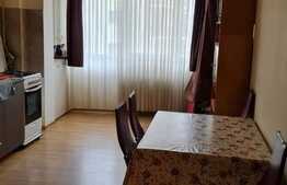 OPORTUNITATE! Apartament 2 camere, 67 mp, zona strazii Florilor!