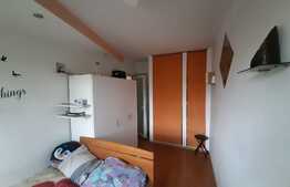 Apartament 2 camere, mobilat si utilat, zona linistita!