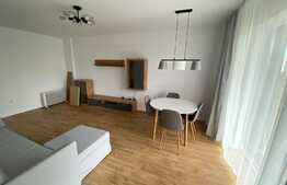 Apartament 2 camere cu acces la curte!