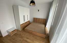 Apartament 2 camere cu acces la curte!
