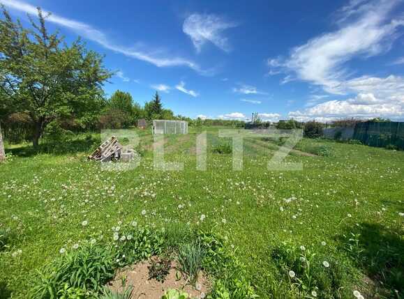 Teren de vânzare Noua - 64906TV | BLITZ Brașov | Poza3