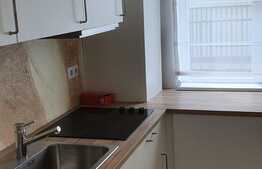 OPORTUNITATE! Apartament cu 2 camere decomandat zona Vivo, terasa 80 mp