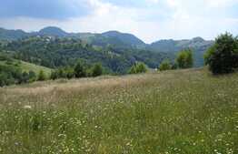 Teren 3700 mp la Moeciu